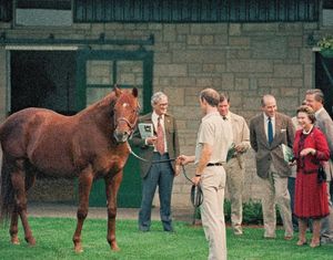 Image post by @spendthriftfarm on Instagram