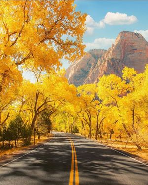Image post by @travelgardi on Instagram