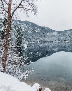 Image post by @tayprinsen on Instagram