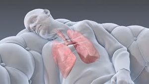 Video post by @nucleusmedicalmedia on YouTube