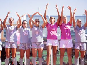 Image post by @ohiostatewsoc on Instagram