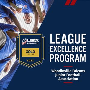 Image post by @usa_football on Instagram
