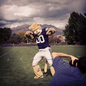 Image post by @cosmo_cougar on Instagram