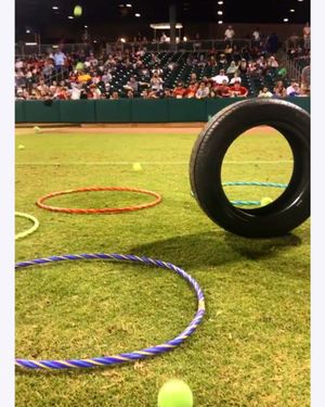 Image post by @biscuitbaseball on Instagram
