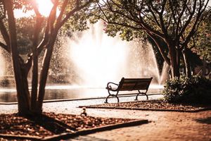 Image post by @uofsc on Instagram