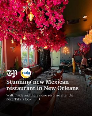 Image post by @nolanews on Instagram