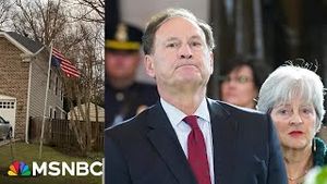 Video post by @msnbc on YouTube