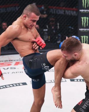 Image post by @bellatormma on Instagram