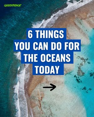 Image post by @greenpeace on Instagram