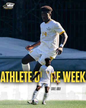 Image post by @gopetrels on Instagram