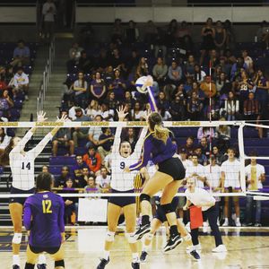 Image post by @lipscombvball on Instagram