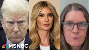 Video post by @msnbc on YouTube