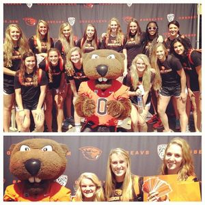 Image post by @beavervball on Instagram