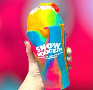 Image post by @snowboogers on Instagram