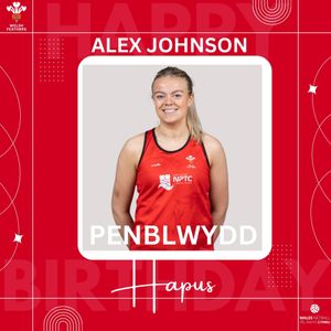 Image post by @walesnetball_ on Instagram