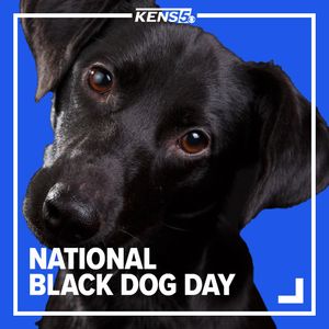 Image post by @kens5 on Instagram