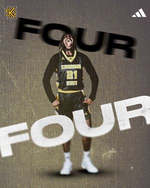 Image post by @ksuowlswbb on Instagram