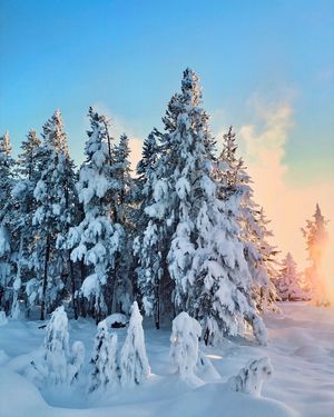 Image post by @kirstenalana on Instagram