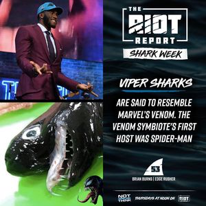 Image post by @theriotreport on Instagram