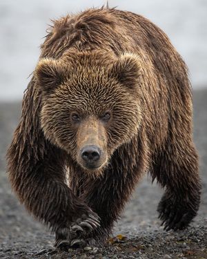 Image post by @nationalparkspartnership on Instagram