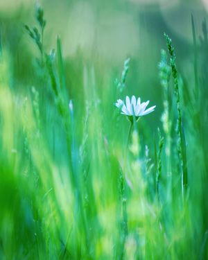 Image post by @cristan.nature.photography on Instagram