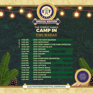Image post by @electric_forest on Instagram