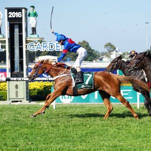 Image post by @australianturfclub on Instagram