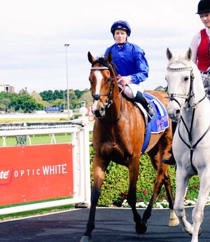 Image post by @australianturfclub on Instagram