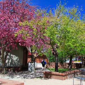 Image post by @nauflagstaff on Instagram