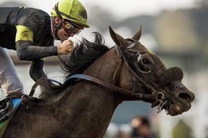 Image post by @spendthriftfarm on Instagram