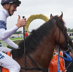 Image post by @australianturfclub on Instagram
