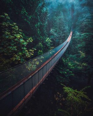 Image post by @cathaypacific on Instagram