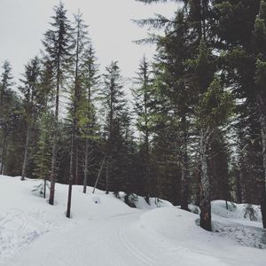 Image post by @amandakl on Instagram