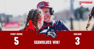 Image post by @stonybrooksb on Instagram