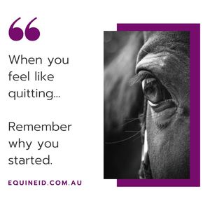 Image post by @equineidsolutions on Instagram