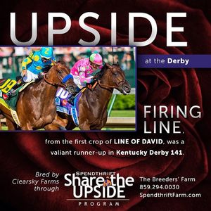 Image post by @spendthriftfarm on Instagram