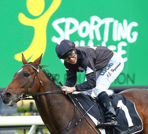 Image post by @australianturfclub on Instagram