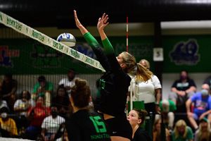 Image post by @meangreenvb on Instagram