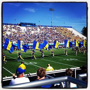 Image post by @udbluehens on Instagram