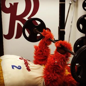 Image post by @friscoroughriders on Instagram