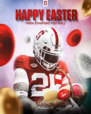 Image post by @StanfordFBrec on Twitter