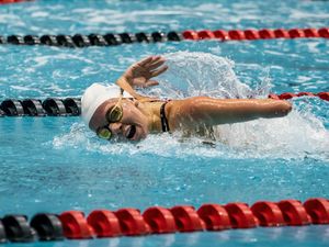 Image post by @arenausa on Instagram