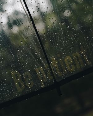 Image post by @tielerfriedline on Instagram