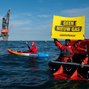 Image post by @greenpeace on Instagram