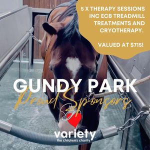 Image post by @gundyparkequine on Instagram