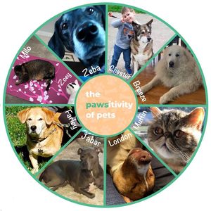 Image post by @PreventEdStLouis on Facebook