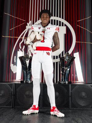 Image post by @raabbit2x on Twitter