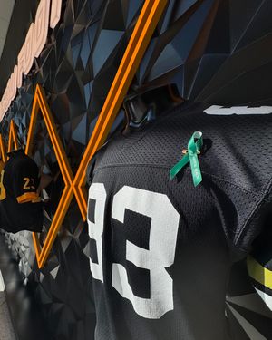 Image post by @mizzouathletics on Instagram