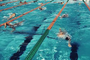 Image post by @canesswimdive on Instagram