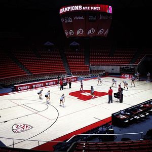 Image post by @utahvolleyball on Instagram